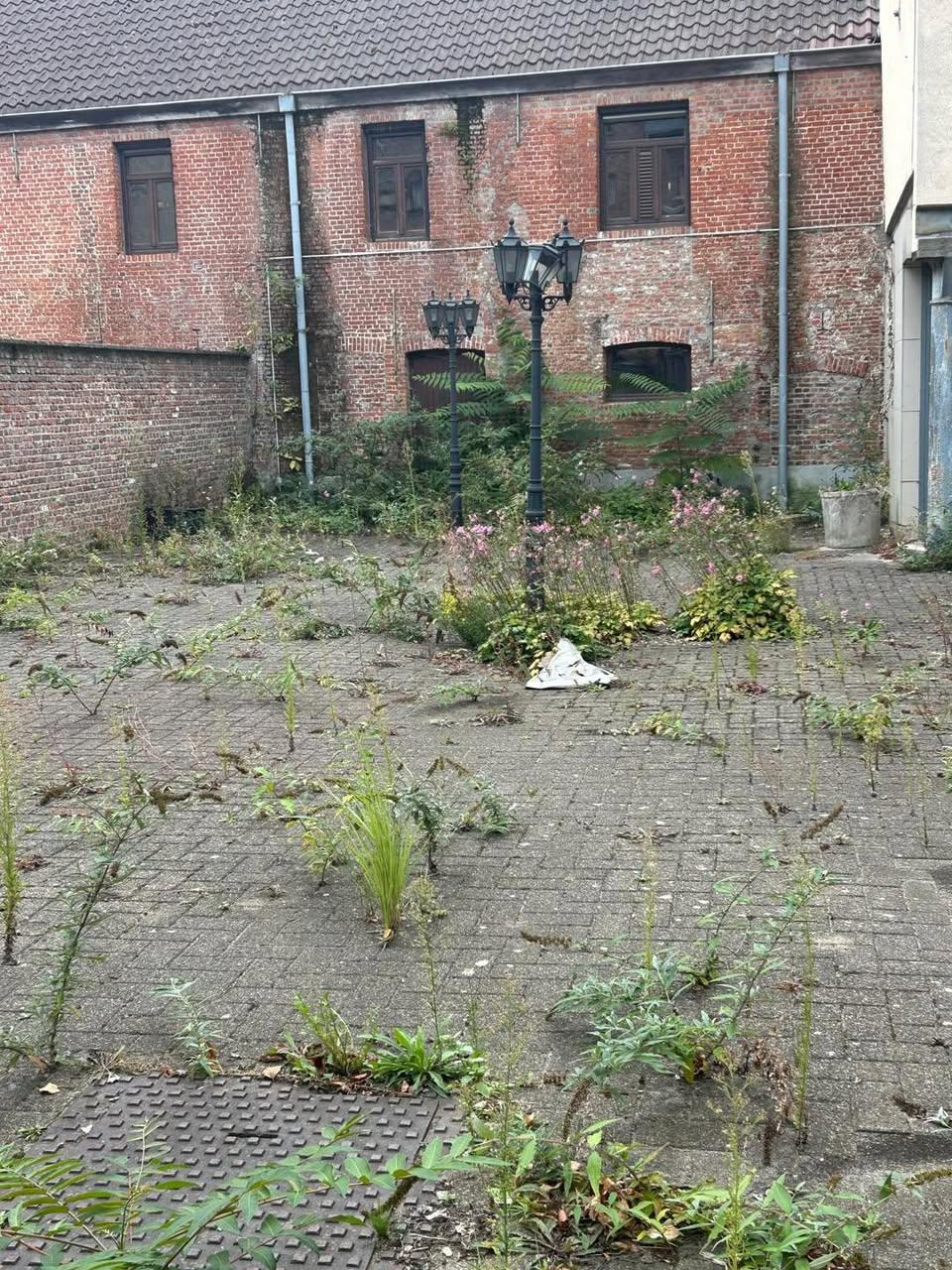 De Ster, één van de symbolen van jarenlang wanbeleid.