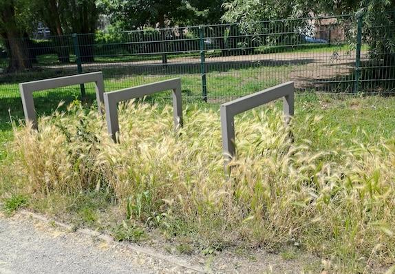 Schriftelijke vraag gesteld door Districtsraadslid Kitty Hensmans over Klachten groenonderhoud in diverse wijken. 
