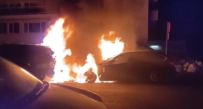 Hoboken wordt geterroriseerd!