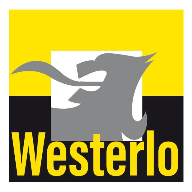 Verklaring zetelverlies N-VA Westerlo + zetelwinst voor Vlaams Belang Westerlo.