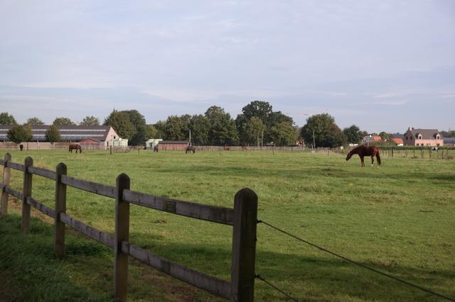 Brecht moet Brecht blijven