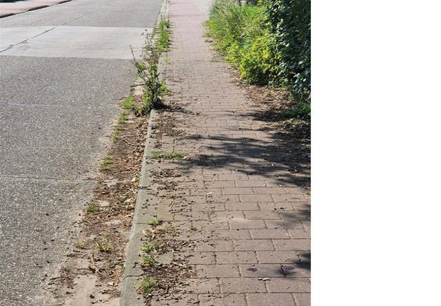 Welzijn van onze inwoners