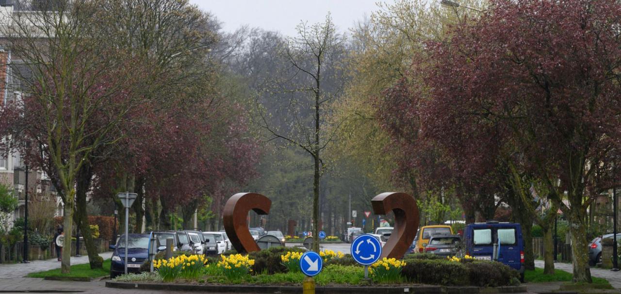 Vlaams Belang Deurne wil plannen tot bomenkap op Ter Rivierenlaan voorgoed naar de prullenbak