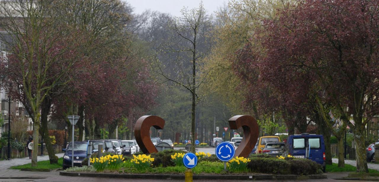 Het Vlaams Belang Deurne wenst de buurtbewoners en het Buurtcomité Allez Allée van de Ter Rivierenlaan te feliciteren