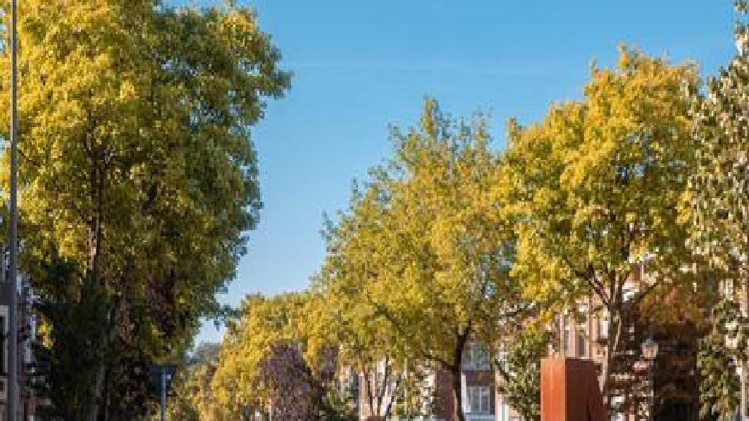 Neen aan heraanleg Deurnese Ter Rivierenlaan: TEKEN DE PETITIE! 