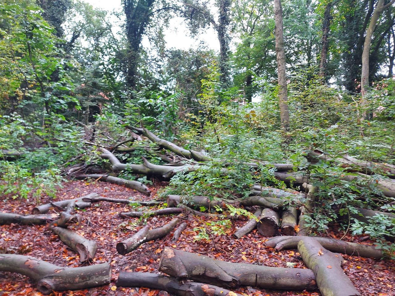 Geen Euro naar het profitariaat