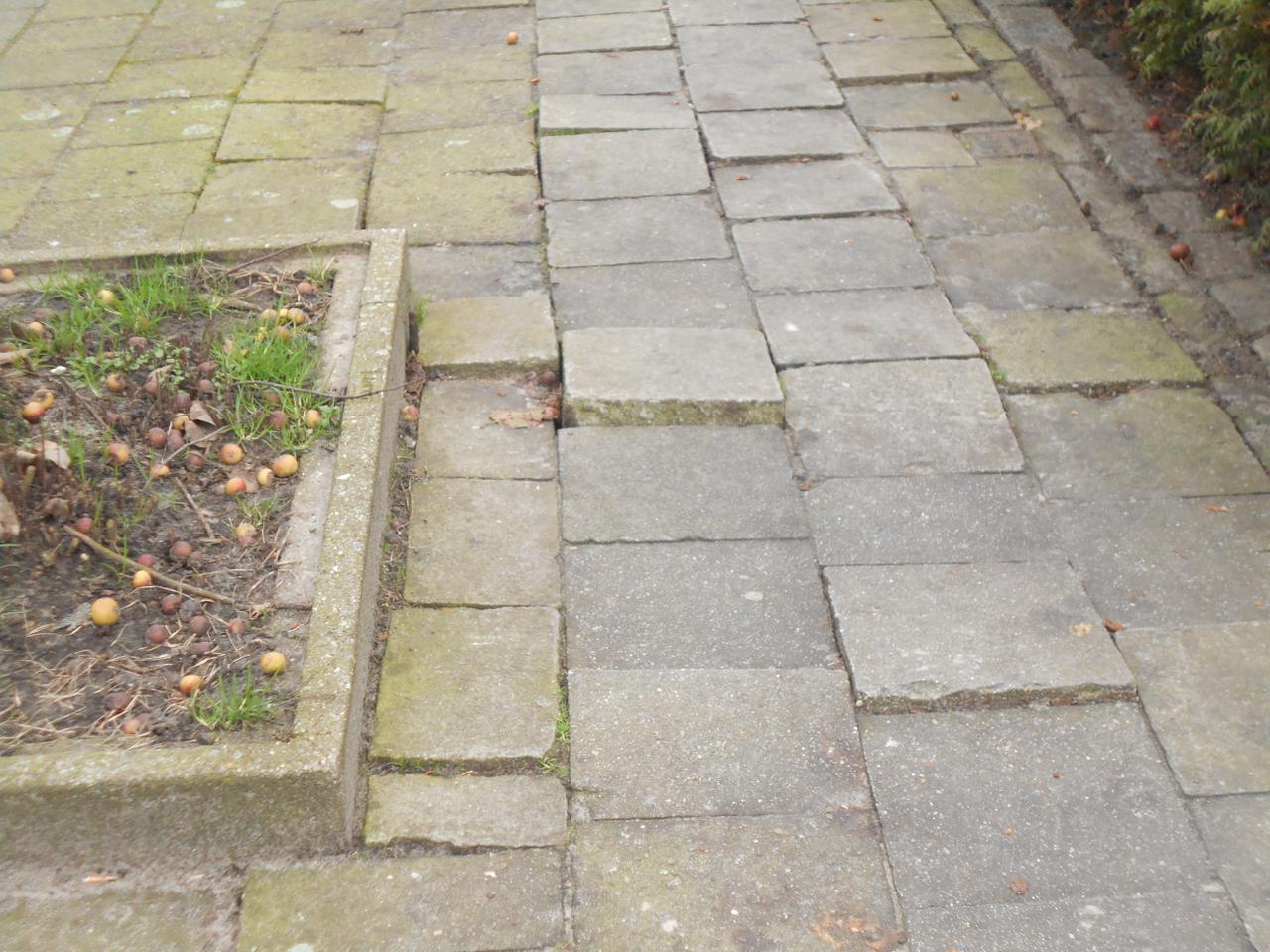 Straatbeeld Griffier Schobbenslaan-antwoord