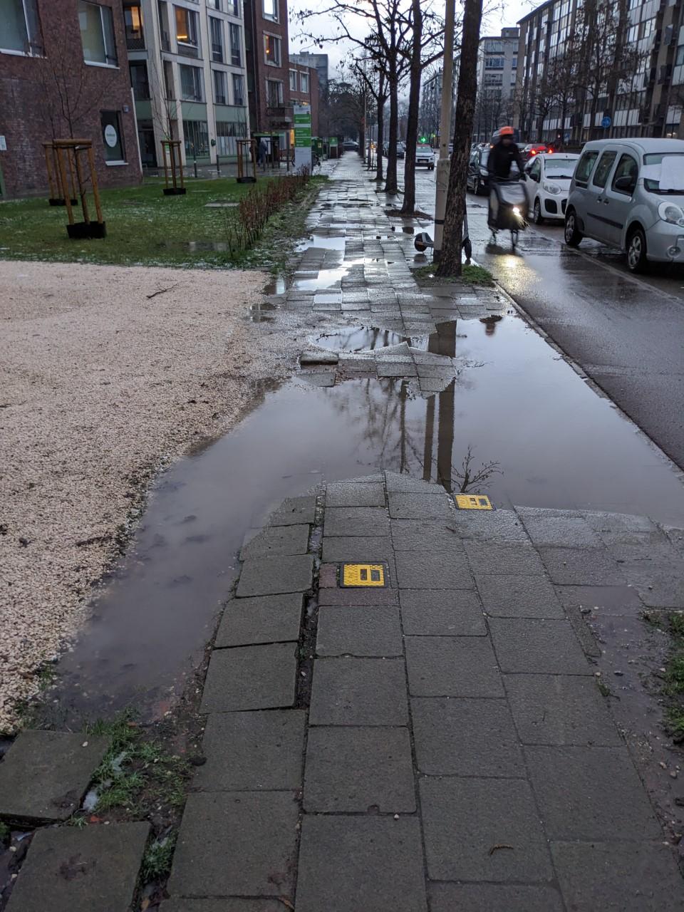 Voetpad WZC Gitschotelhof gemaakt !