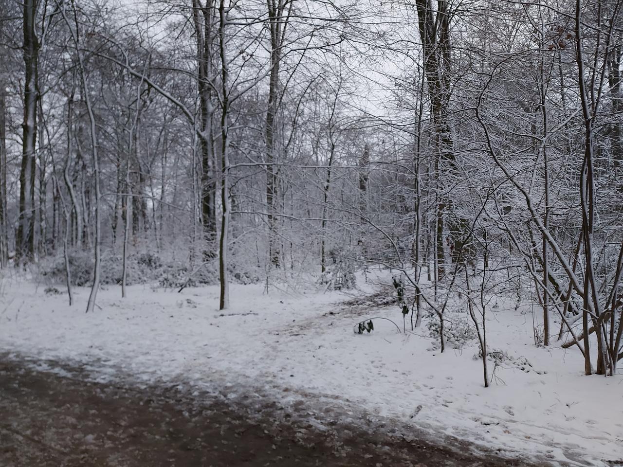 Tussenkomst over kernenergie