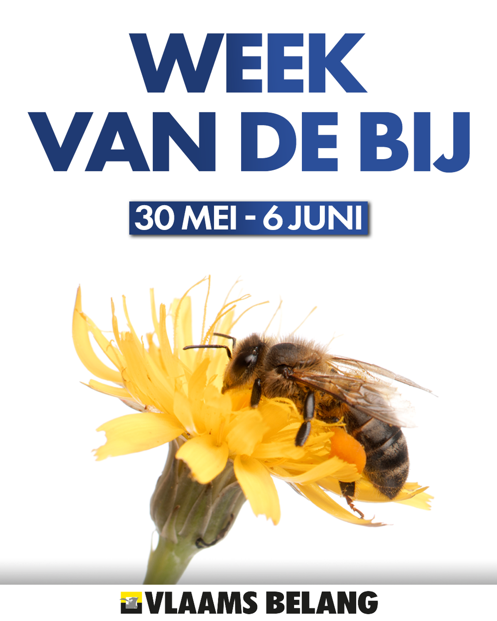 Week van de bij