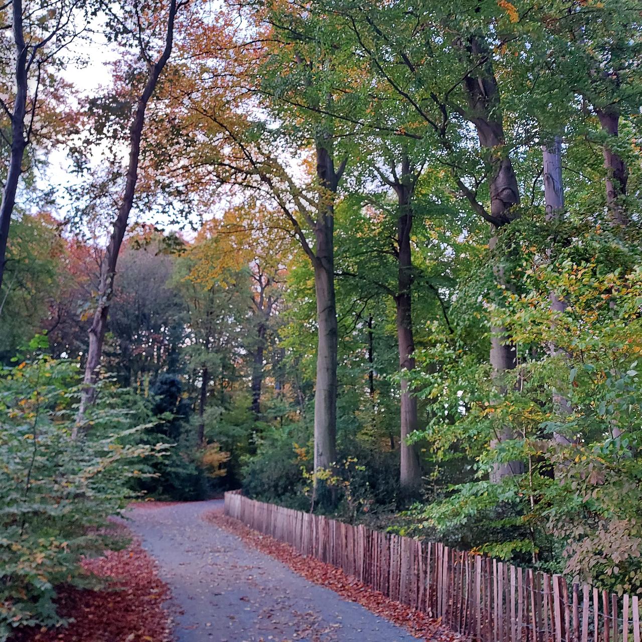 Besparen op waterverbruik