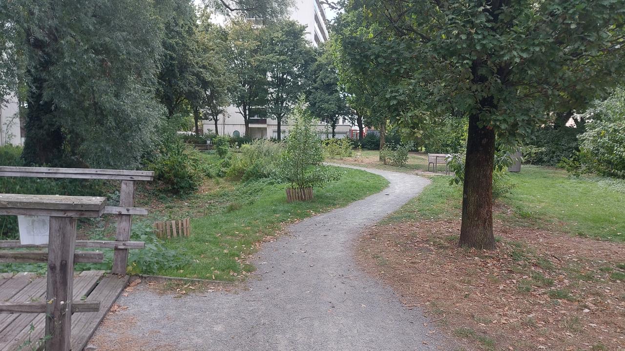 Groene zone Fonteinstraat - Antwoorden