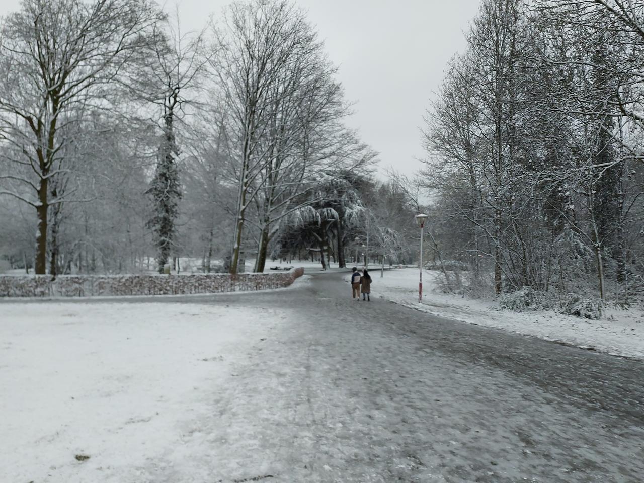Sam van Rooy over het Vlaamse klimaatbeleid.