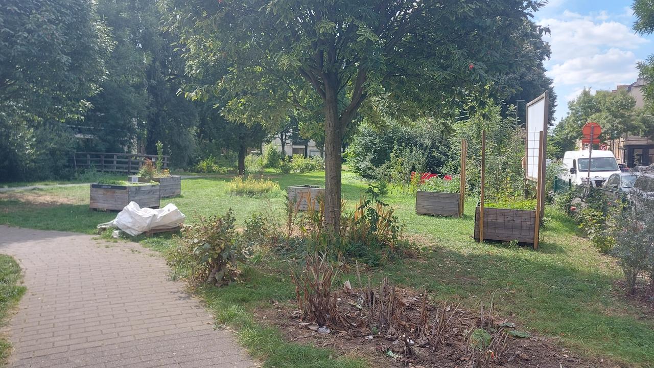 Groene zone Fonteinstraat - omgevingsvergunning