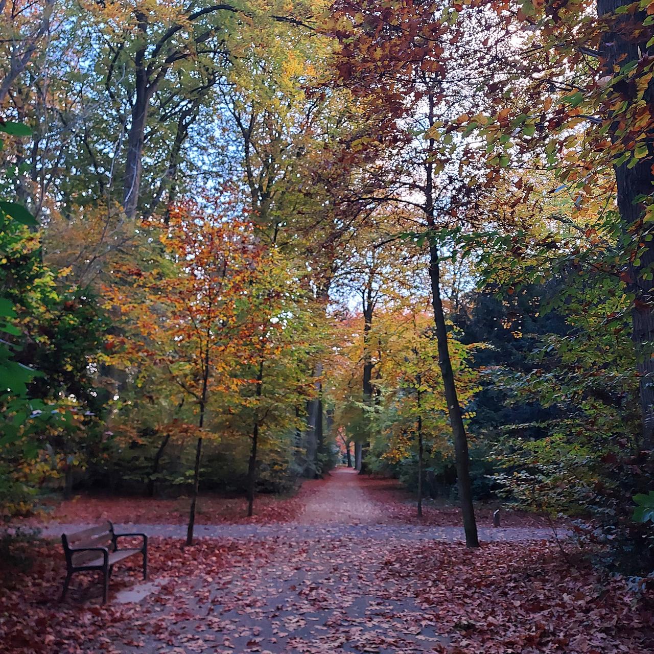Te Boelaerpark beheersplan