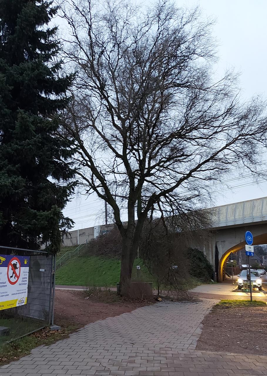 Alert optreden = gevaar geweken