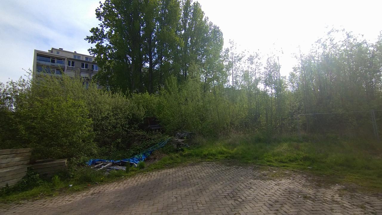 Arfin-wildernis: nog geen oplossing