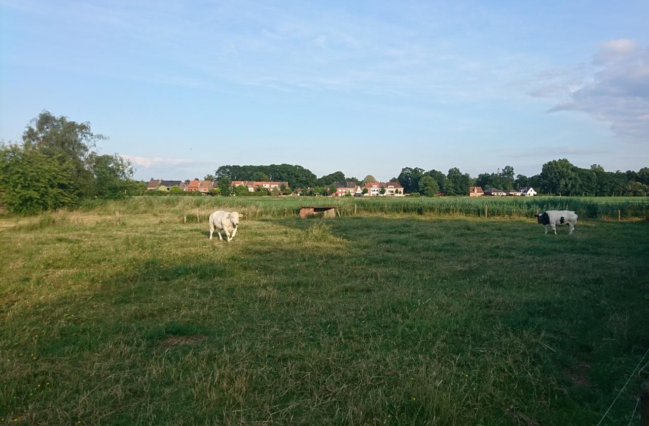 Hoekakker: overleg of geen overleg, geen bebouwing!