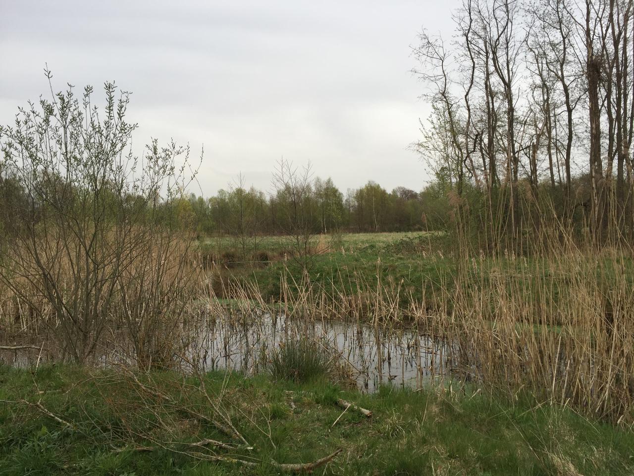Vervolg woonuitbreiding Het Leeg-Rietbeemden