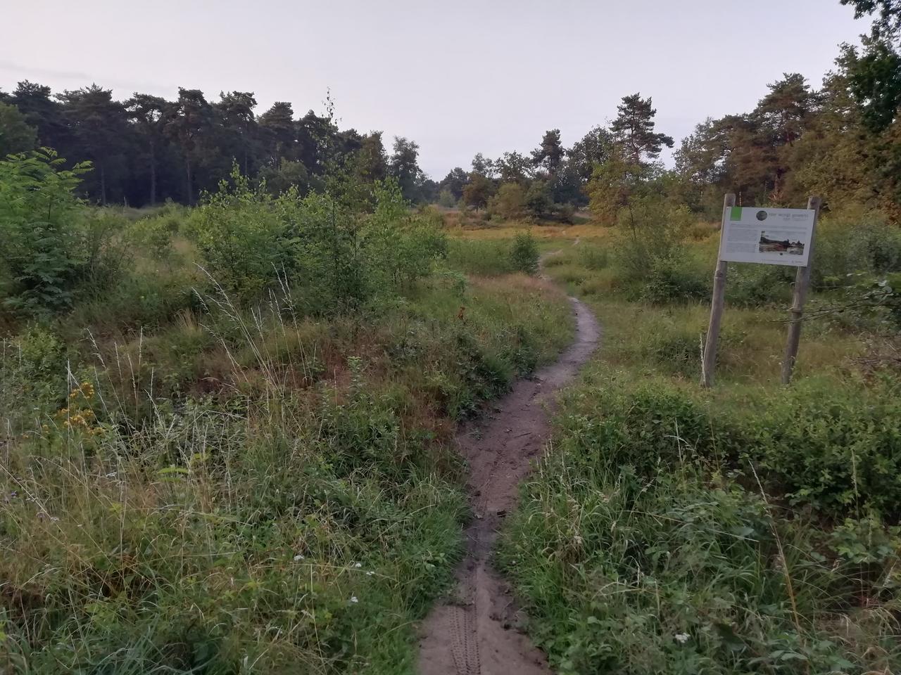 Wandeling Klein Schietveld - zaterdag 26 augustus.