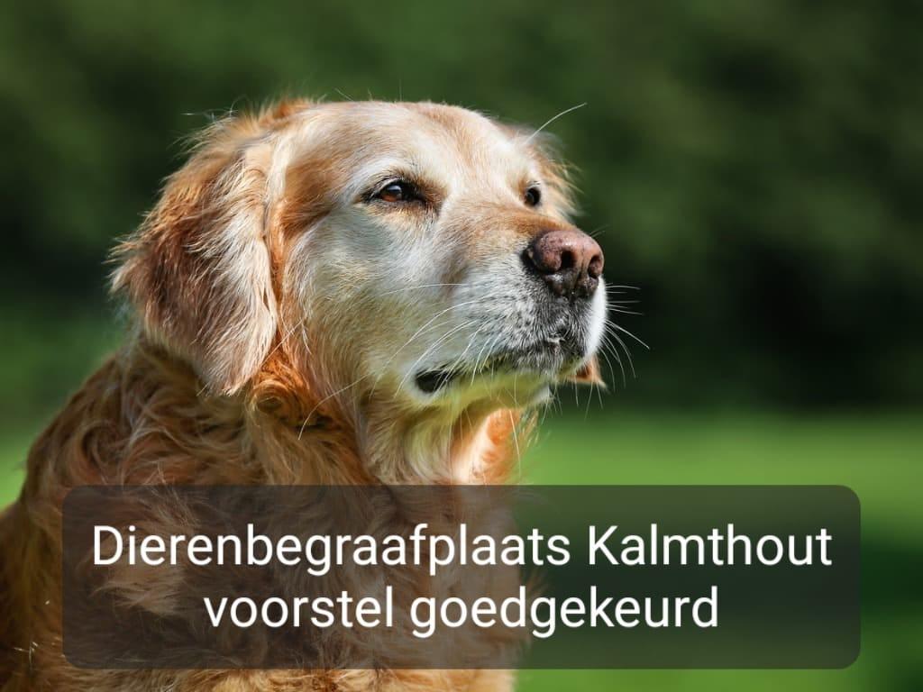 Waardig afscheid nemen van je huisdier.