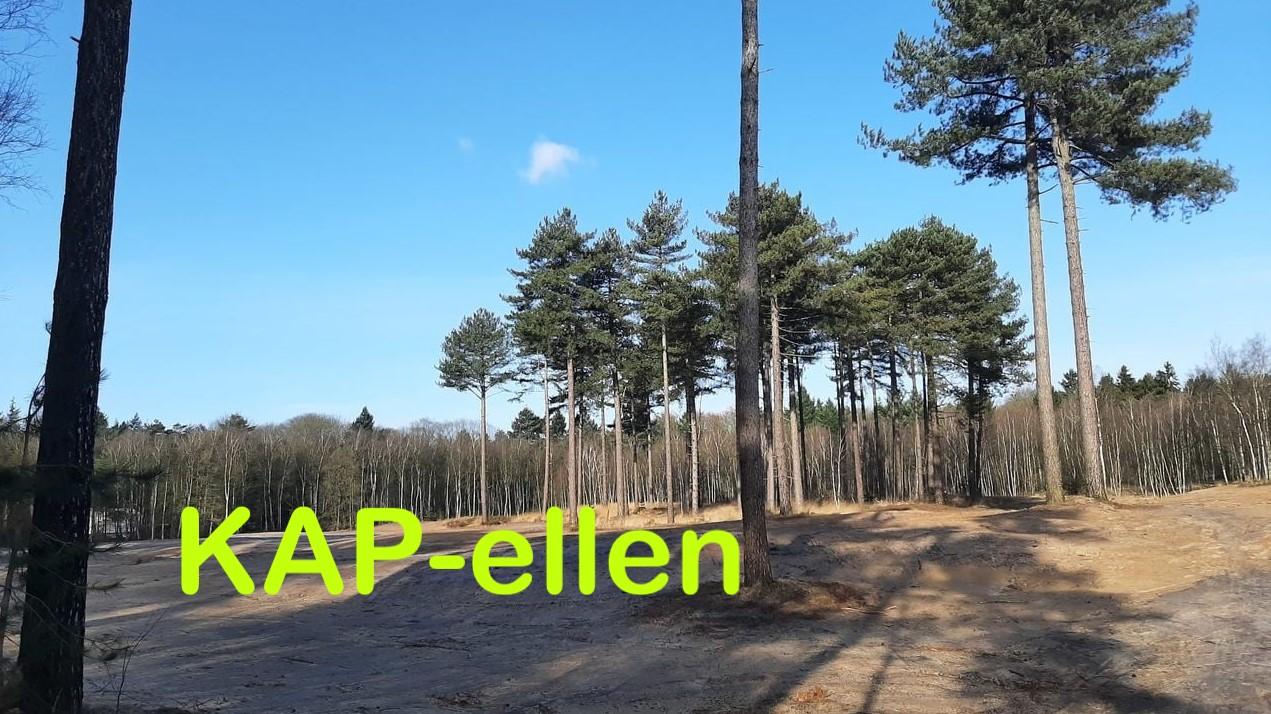 Bosbeheer, maar anders ....  kapperdekap in Kapellen