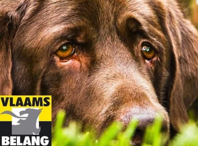 Welzijn ook voor dieren