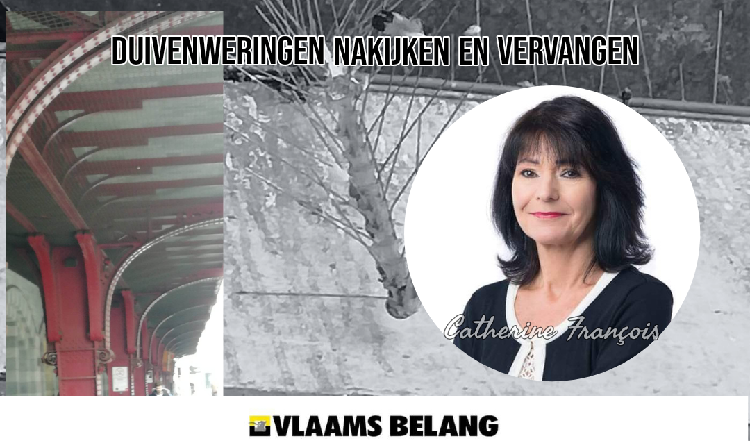 Gemeenteraad 24/04/2023:  Duivenweringen onder brug Nekkerspoel 