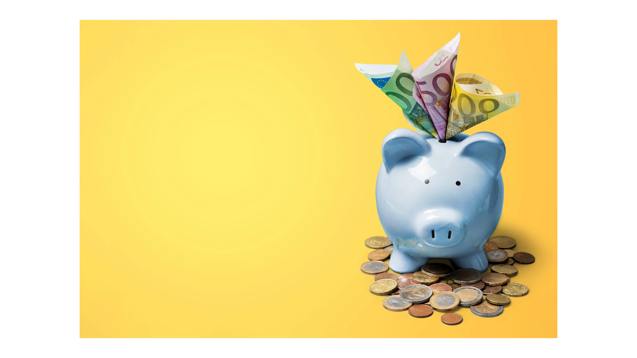 Verspilzucht inburgering 