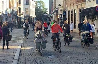 Autovrije zondag kost de Mechelse belastingbetaler meer dan 40.000 euro en de eindafrekening is nog niet gemaakt