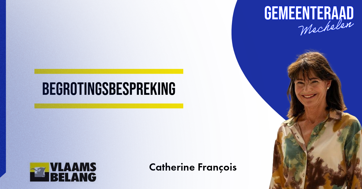 Gemeenteraad 24/06/2024 - Begrotingsbespreking 