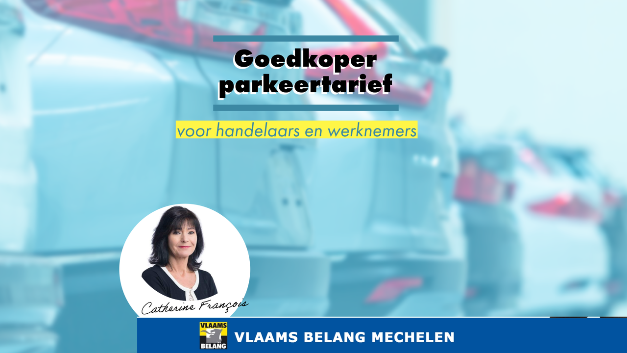 Gemeenteraad 23/10/2023  Goedkoper parkeertarief of parkeerabonnement