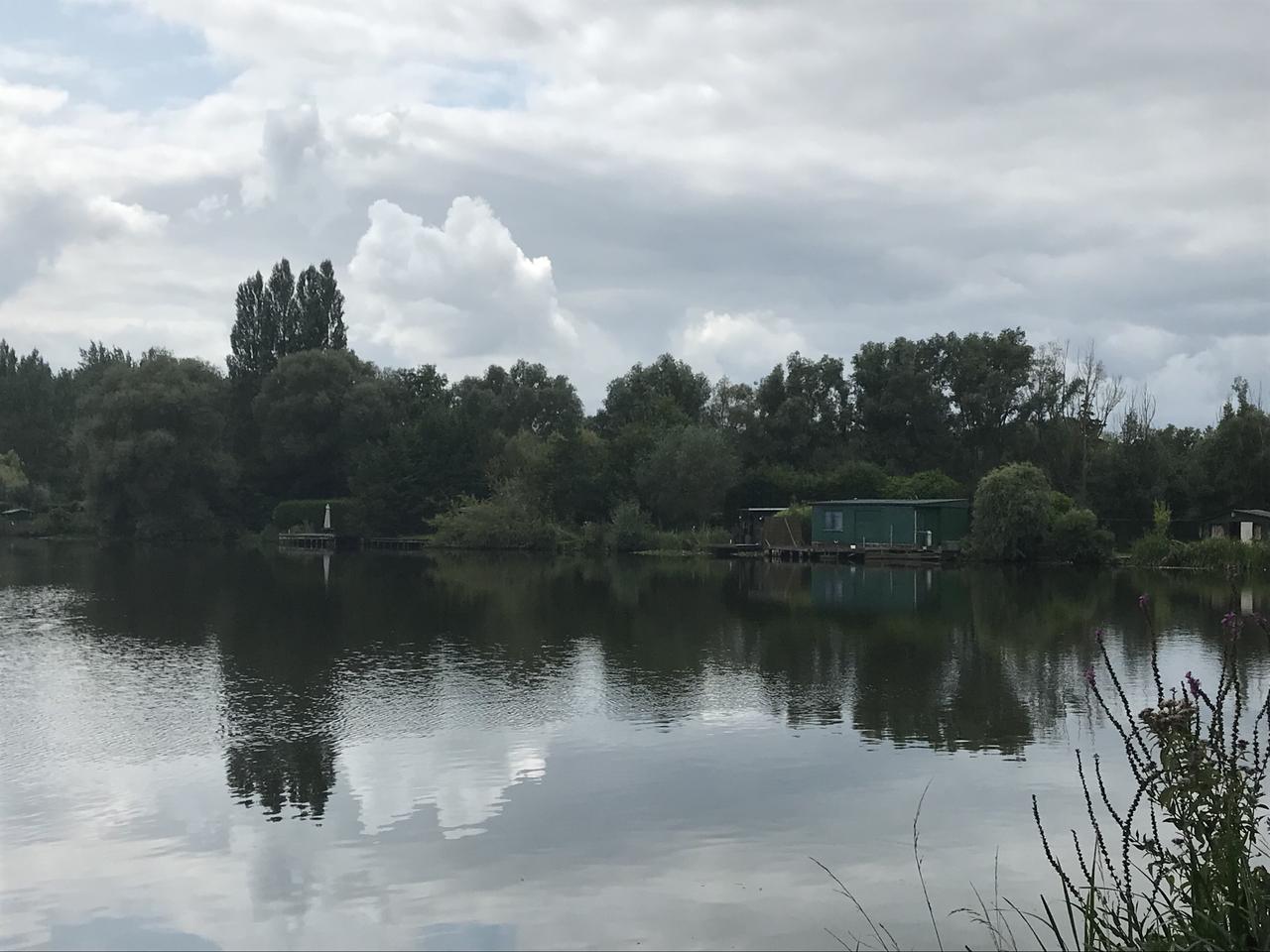 Kragenwielvissers krijgen mes op de keel