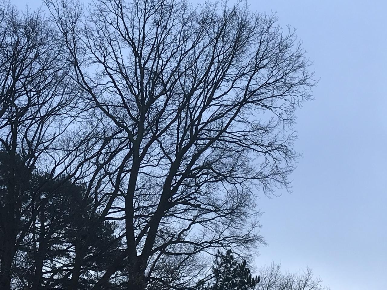 Onrealistisch klimaatactieplan