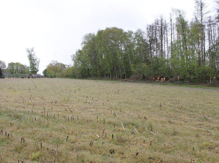 Zorgen voor onze landbouwers