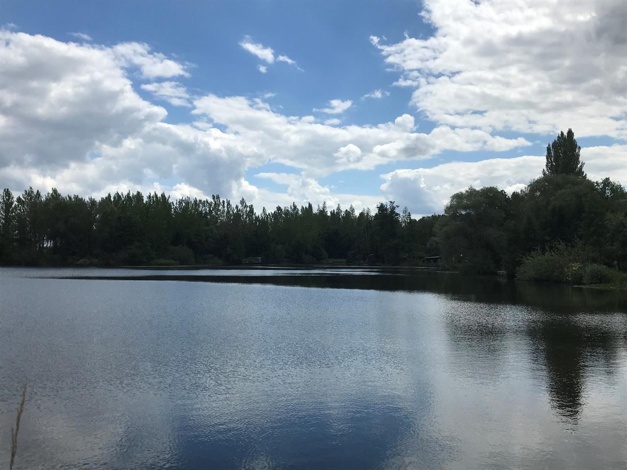 Kragenwielvissers opnieuw slachtoffer van pesterijen door Agentschap voor Natuur en Bos