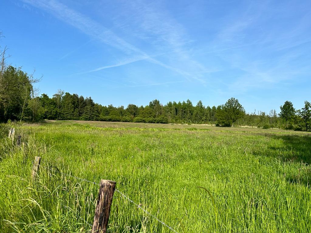 Natuurparken, "Doos van Pandora"?