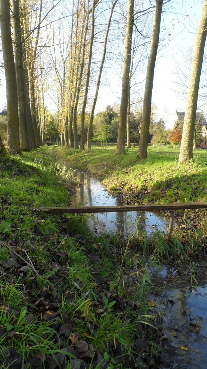 Een riviercontract dat... er geen is