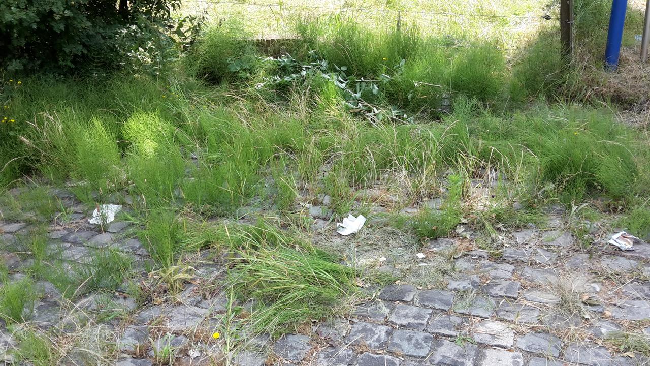 Zwerfvuil: kan veel beter