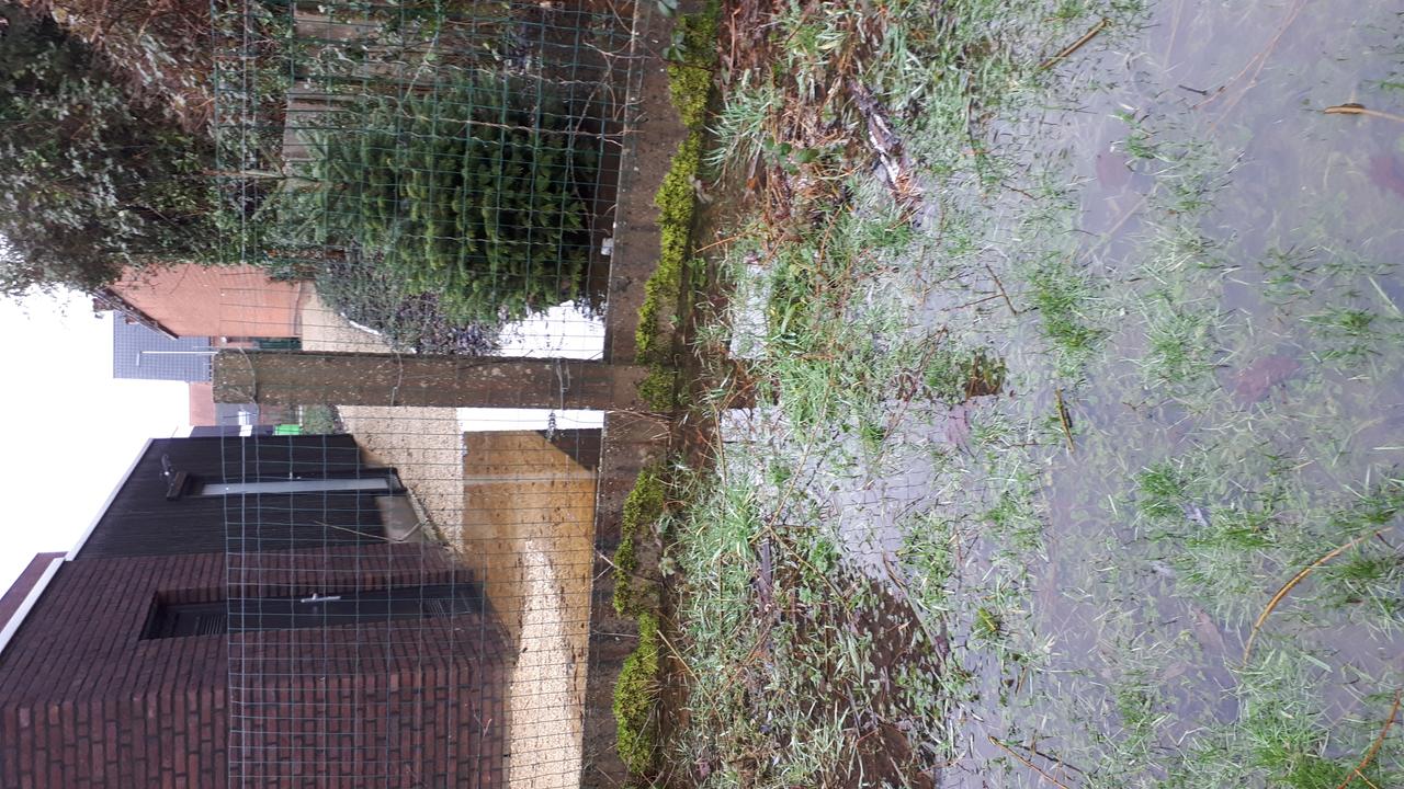 Nog altijd: probleem wateroverlast Buisstraat