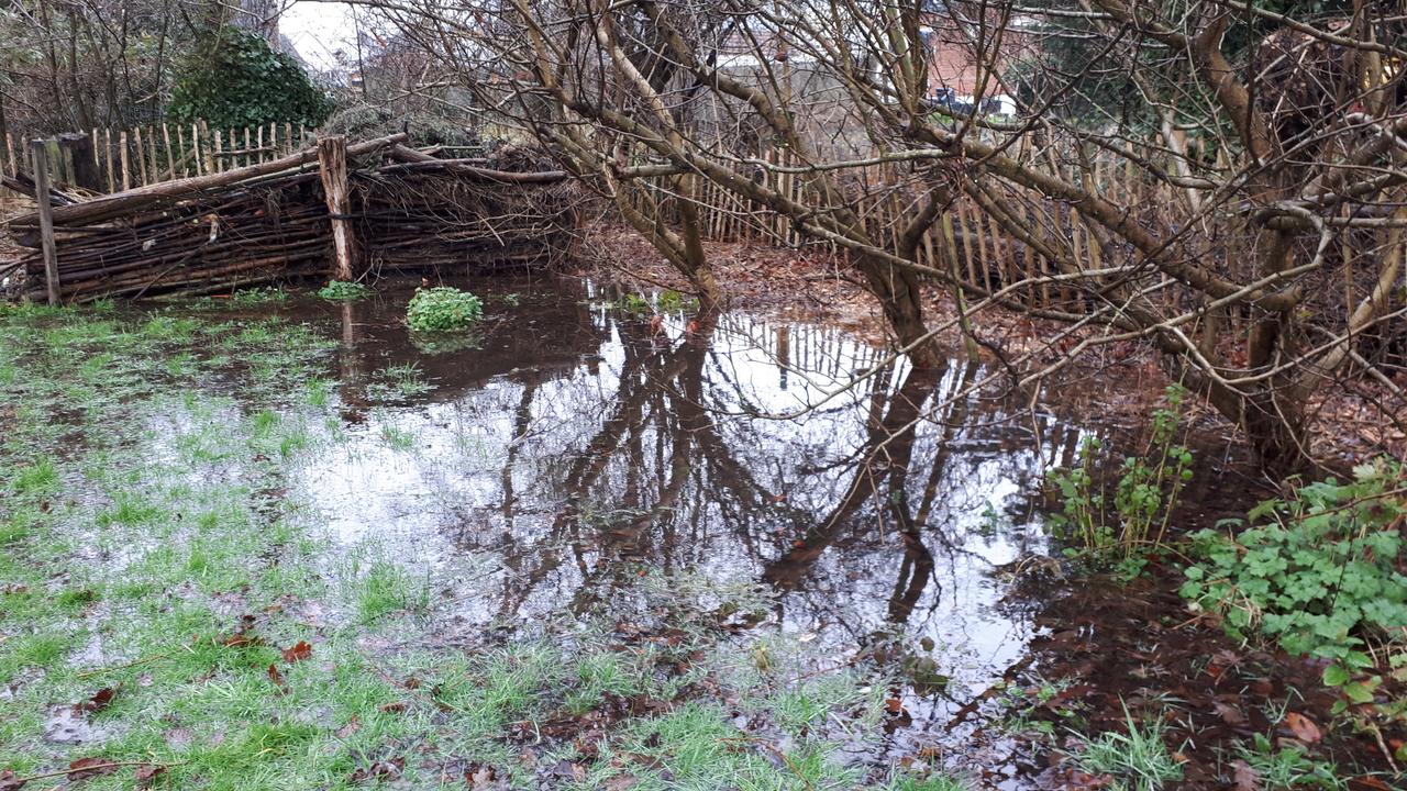 Wateroverlast: de verantwoordelijkheid van openbare besturen 