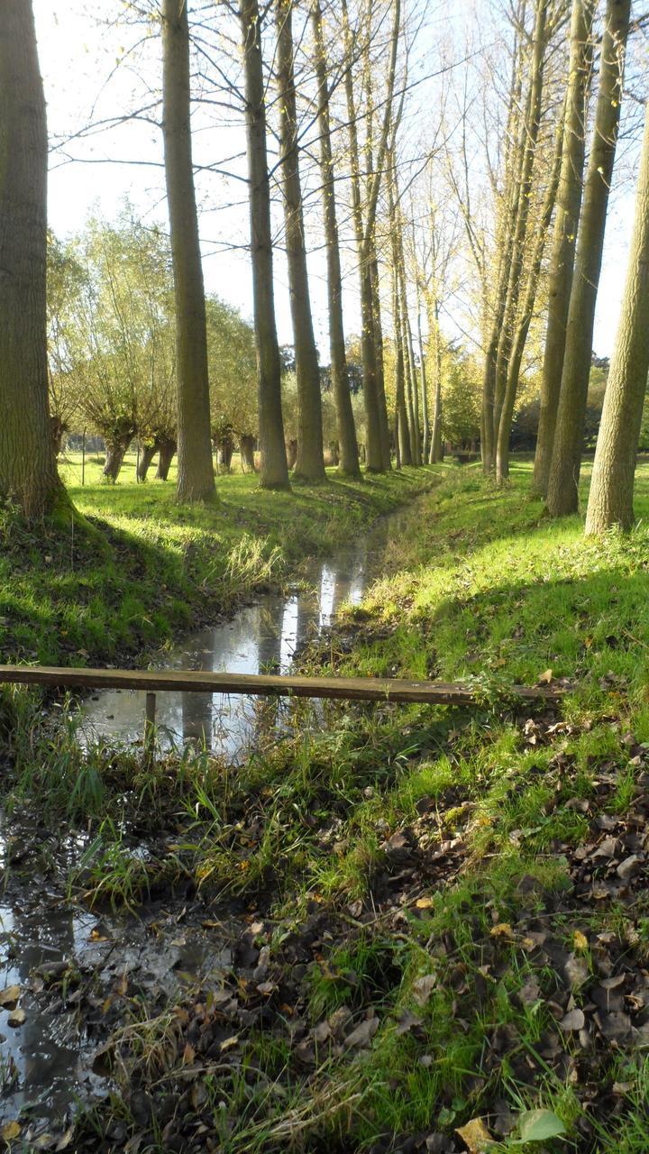 Masterplan Oppuurs Lippelo Vlietnatuurpark