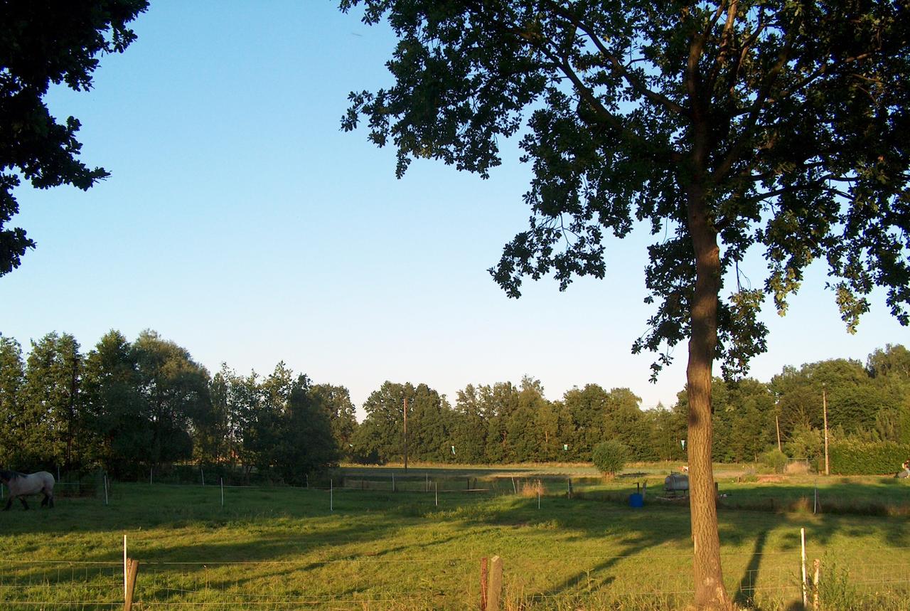 Een Nationaal Park in Puurs-Sint-Amands? Te zot om los te lopen.