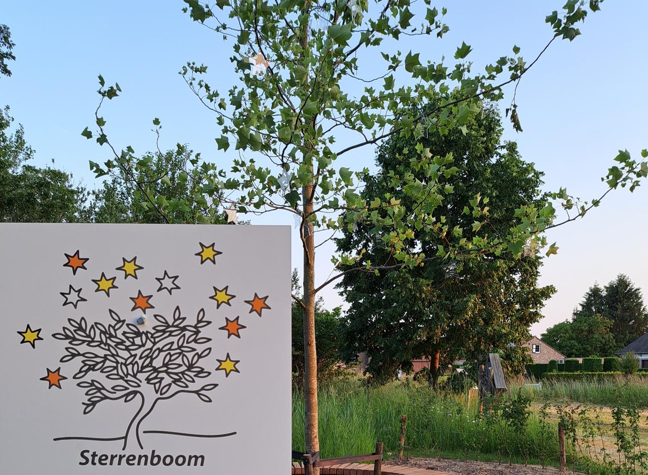 Eindelijk een sterrenboom