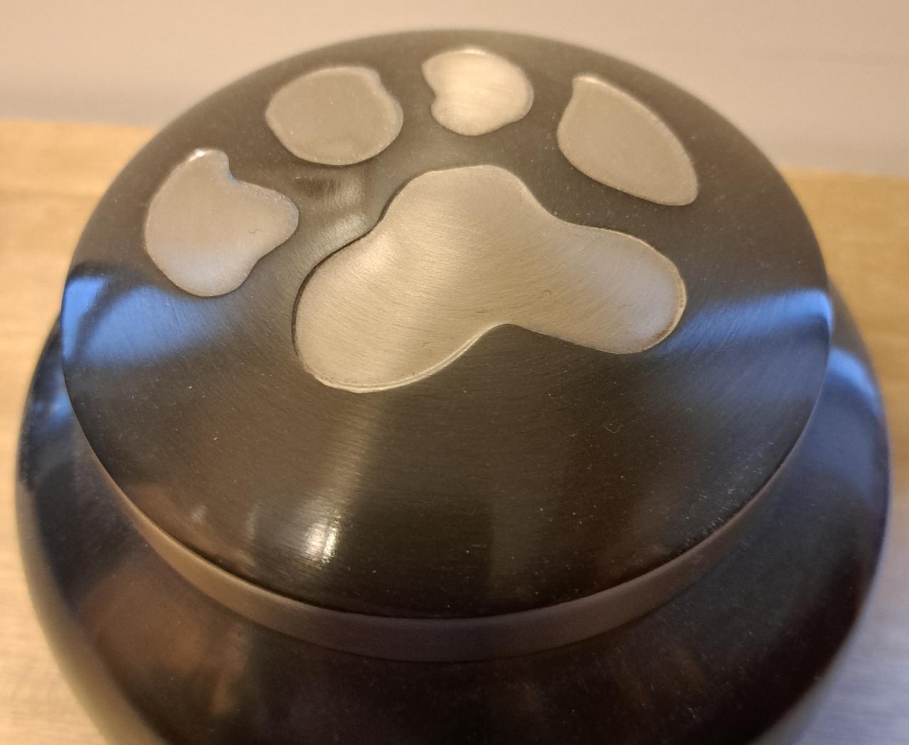 Reeds overleden gezelschapsdieren samen begraven met de overledene ?