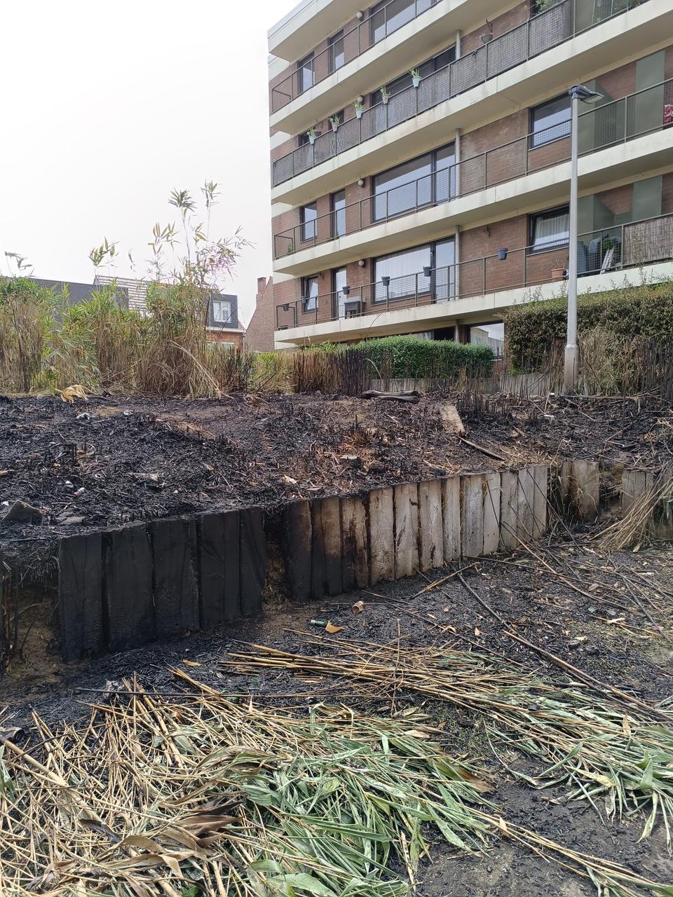 Ruisbroek ontsnapt nipt aan ramp door brandstichting