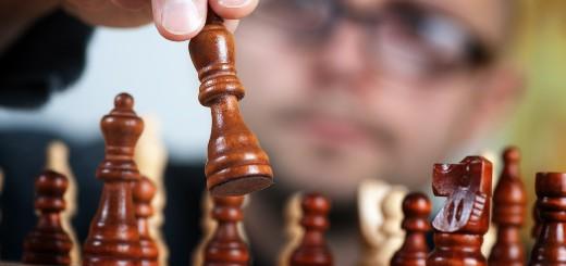 Leeuw is niet te vinden voor openbare schaaktafels, voorstel VB werd weggestemd